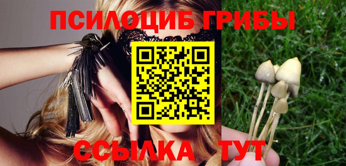 Галлюциногенные грибы Magic Shrooms  Вход с VPN  закладки  Приморско-Ахтарск 